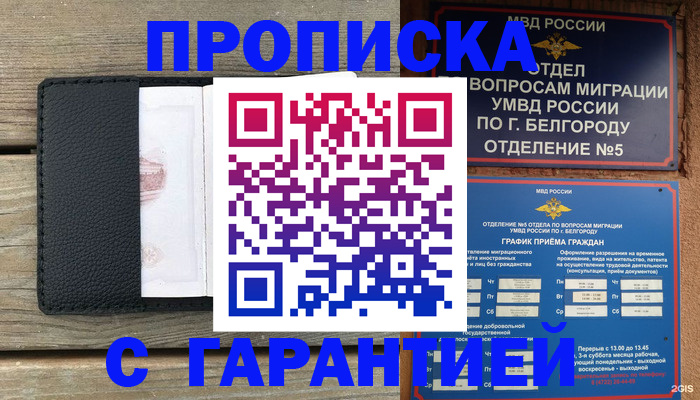 временная регистрация для всех в Кировске